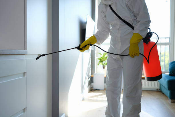 Best Fast Mold Removal  in Dousman, WI